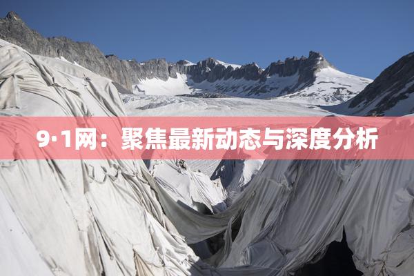 9·1网：聚焦最新动态与深度分析