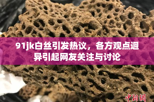 91jk白丝引发热议，各方观点迥异引起网友关注与讨论