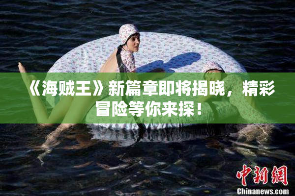 《海贼王》新篇章即将揭晓，精彩冒险等你来探！
