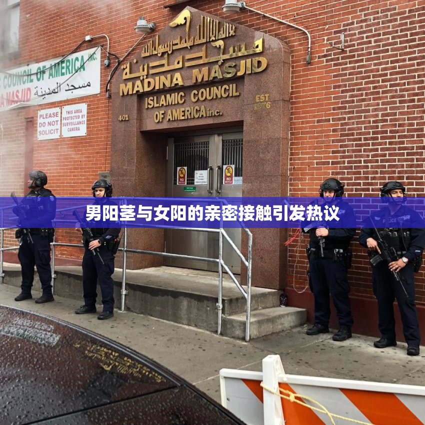 男阳茎与女阳的亲密接触引发热议