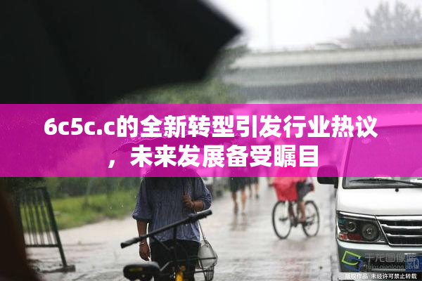 6c5c.c的全新转型引发行业热议，未来发展备受瞩目