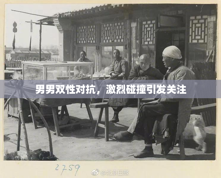 男男双性对抗，激烈碰撞引发关注
