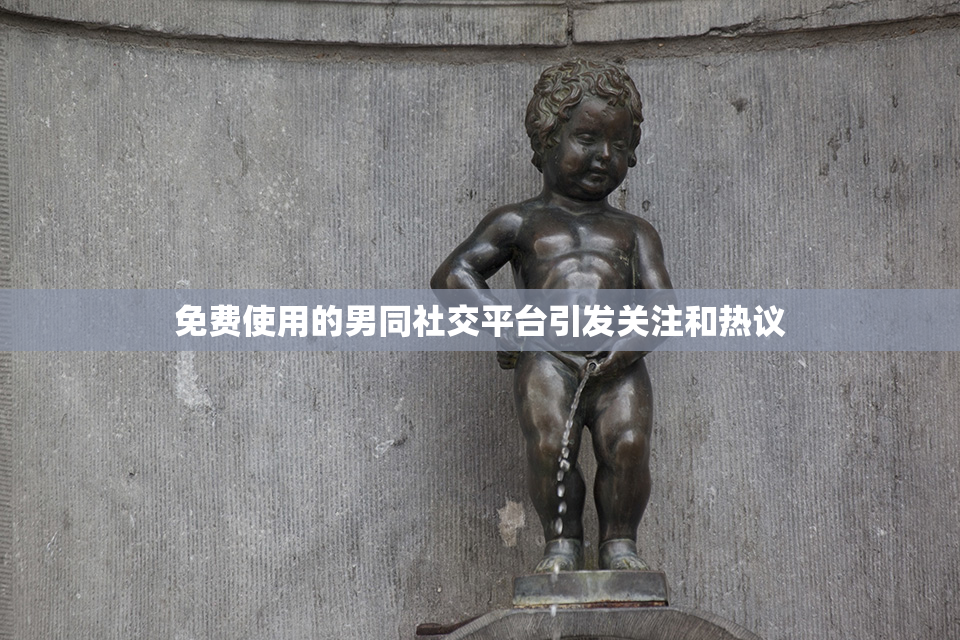 免费使用的男同社交平台引发关注和热议