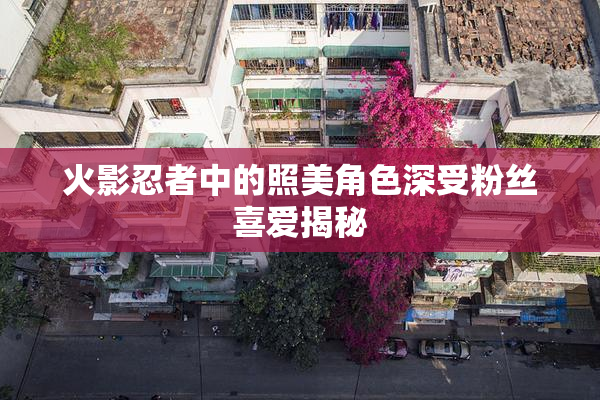 火影忍者中的照美角色深受粉丝喜爱揭秘