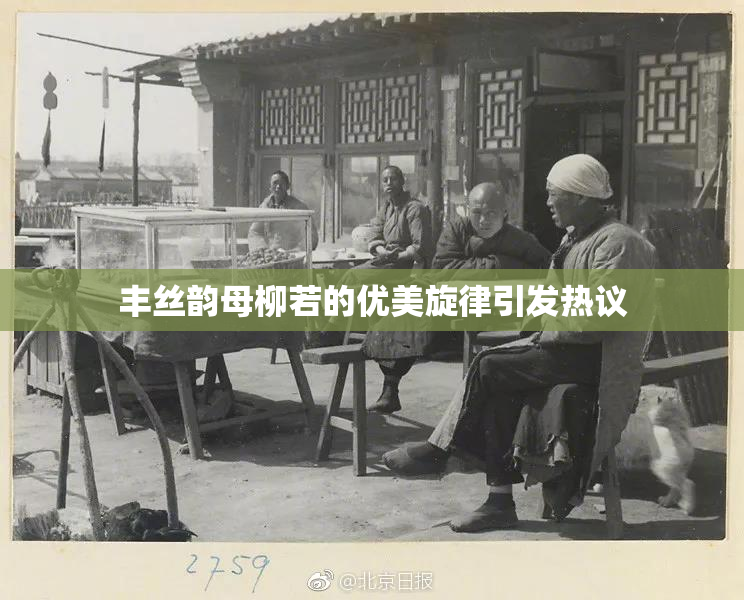 丰丝韵母柳若的优美旋律引发热议