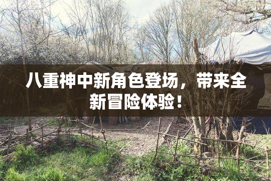 八重神中新角色登场，带来全新冒险体验！