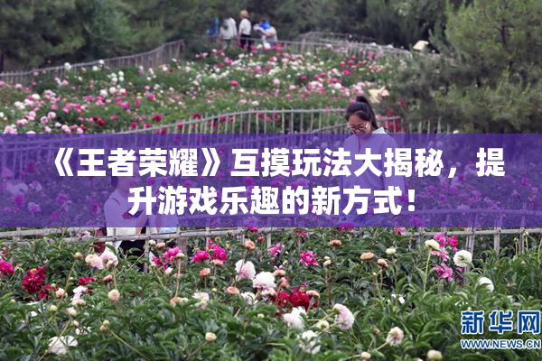 《王者荣耀》互摸玩法大揭秘，提升游戏乐趣的新方式！