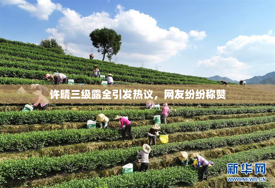 许晴三级露全引发热议，网友纷纷称赞