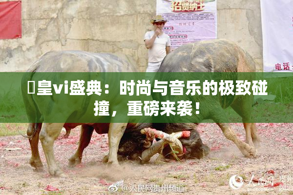 嘼皇vi盛典：时尚与音乐的极致碰撞，重磅来袭！