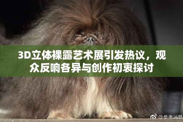 3D立体裸露艺术展引发热议，观众反响各异与创作初衷探讨