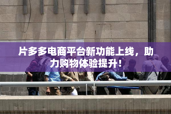 片多多电商平台新功能上线，助力购物体验提升！
