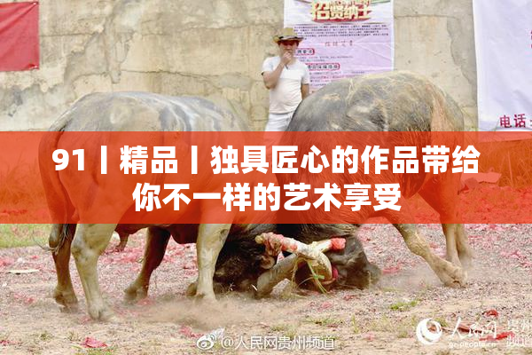 91丨精品丨独具匠心的作品带给你不一样的艺术享受