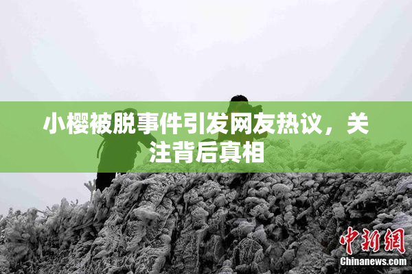 小樱被脱事件引发网友热议，关注背后真相
