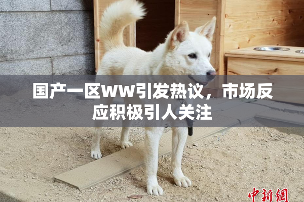 国产一区WW引发热议，市场反应积极引人关注
