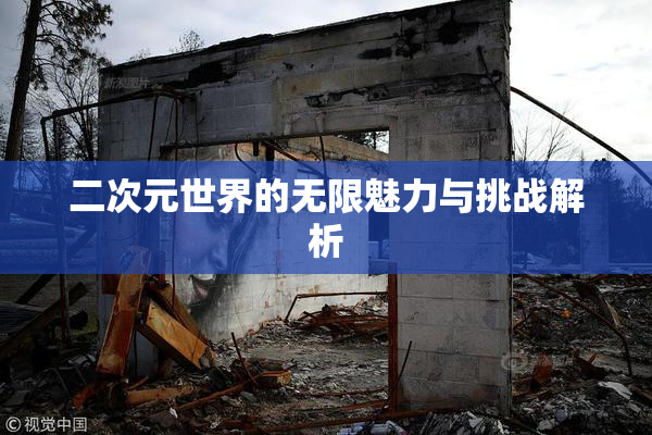 二次元世界的无限魅力与挑战解析