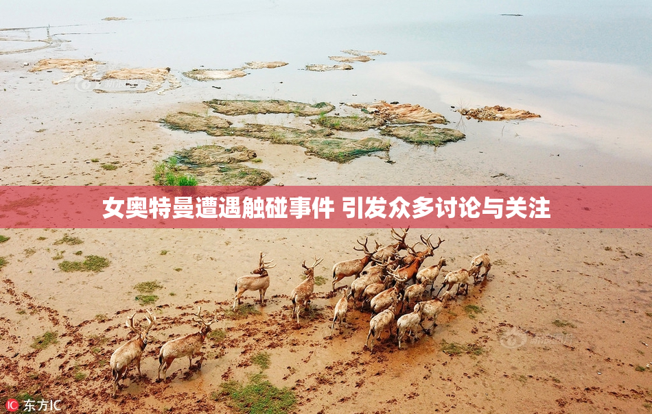 女奥特曼遭遇触碰事件 引发众多讨论与关注