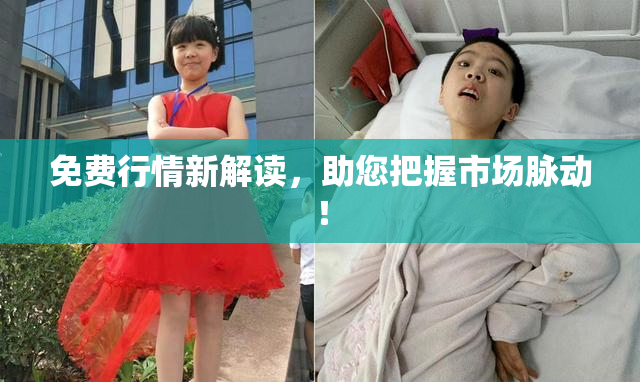 免费行情新解读，助您把握市场脉动！
