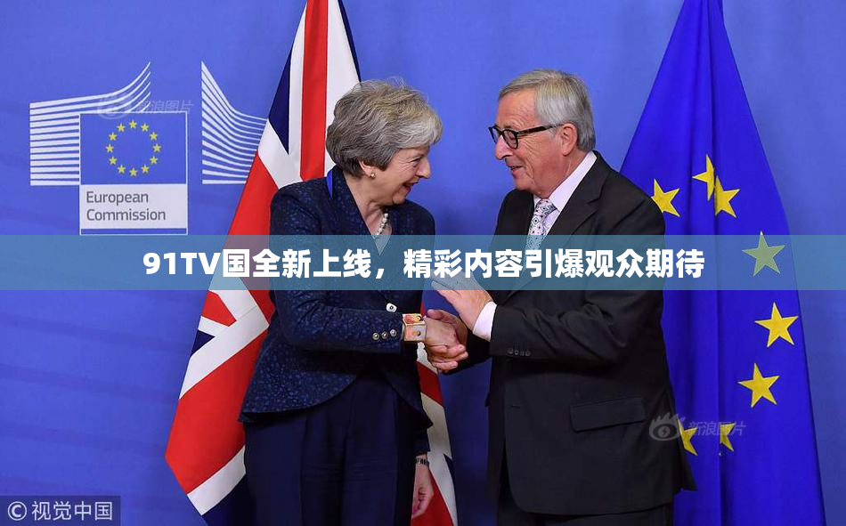 91TV国全新上线，精彩内容引爆观众期待