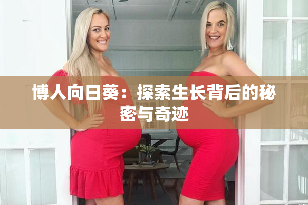 博人向日葵：探索生长背后的秘密与奇迹