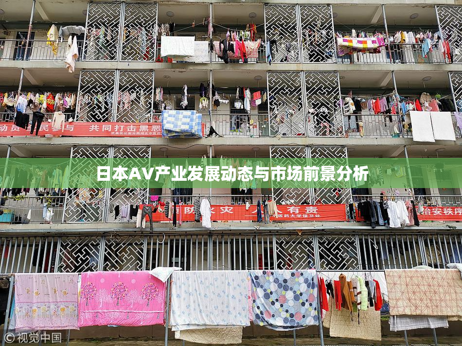 日本AV产业发展动态与市场前景分析