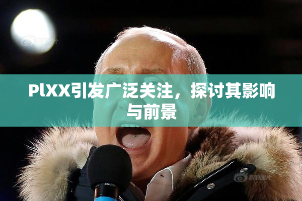 PlXX引发广泛关注，探讨其影响与前景