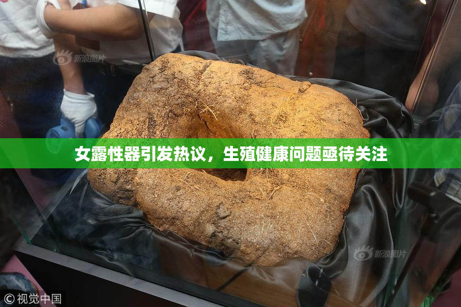 女露性器引发热议，生殖健康问题亟待关注