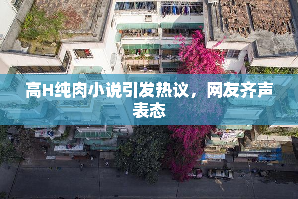 高H纯肉小说引发热议，网友齐声表态