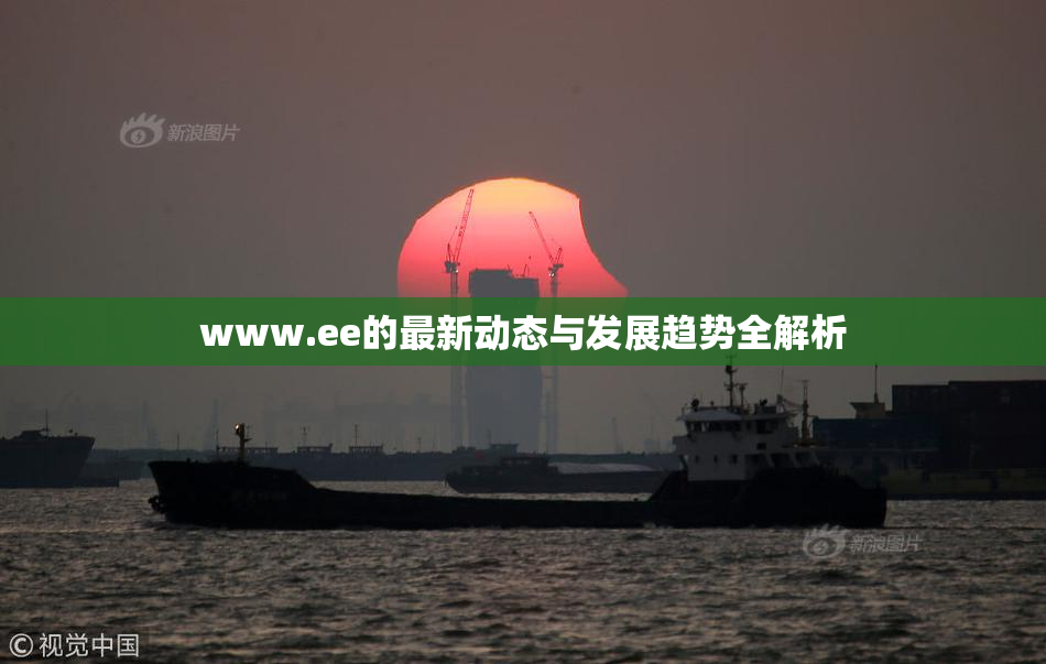 www.ee的最新动态与发展趋势全解析
