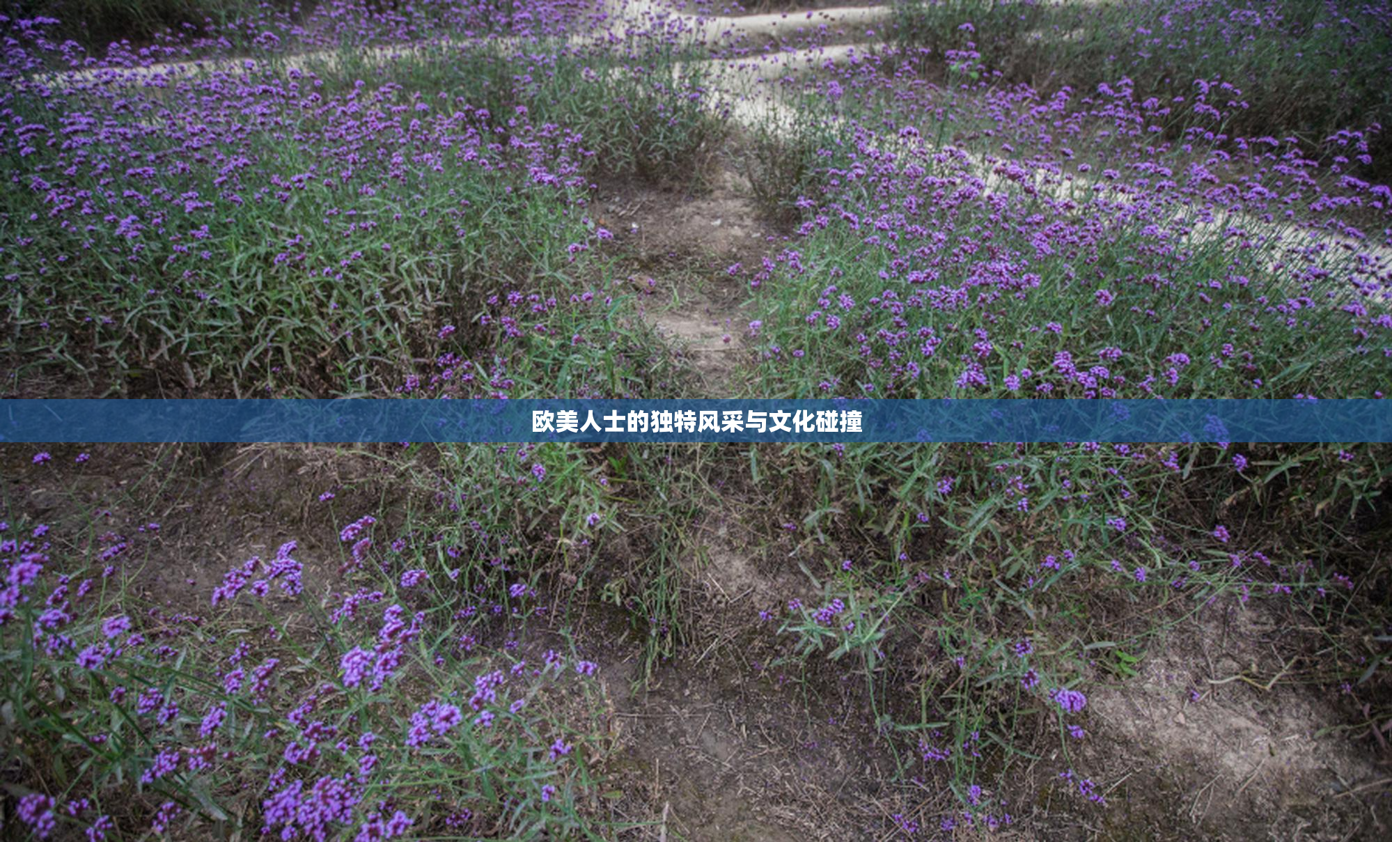 欧美人士的独特风采与文化碰撞