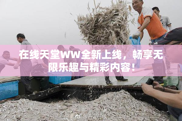 在线天堂WW全新上线，畅享无限乐趣与精彩内容！