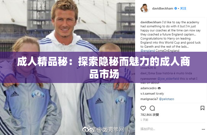 成人精品秘：探索隐秘而魅力的成人商品市场