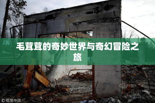 毛茸茸的奇妙世界与奇幻冒险之旅