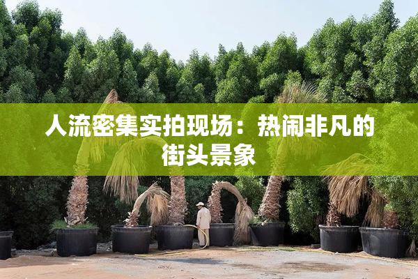 人流密集实拍现场：热闹非凡的街头景象