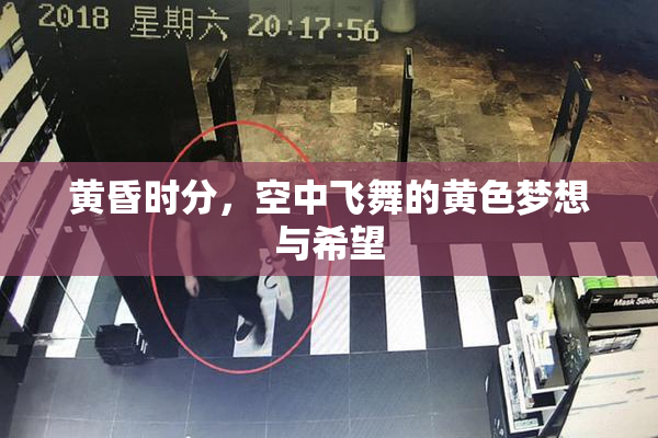 黄昏时分，空中飞舞的黄色梦想与希望