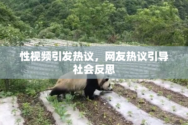 性视频引发热议，网友热议引导社会反思