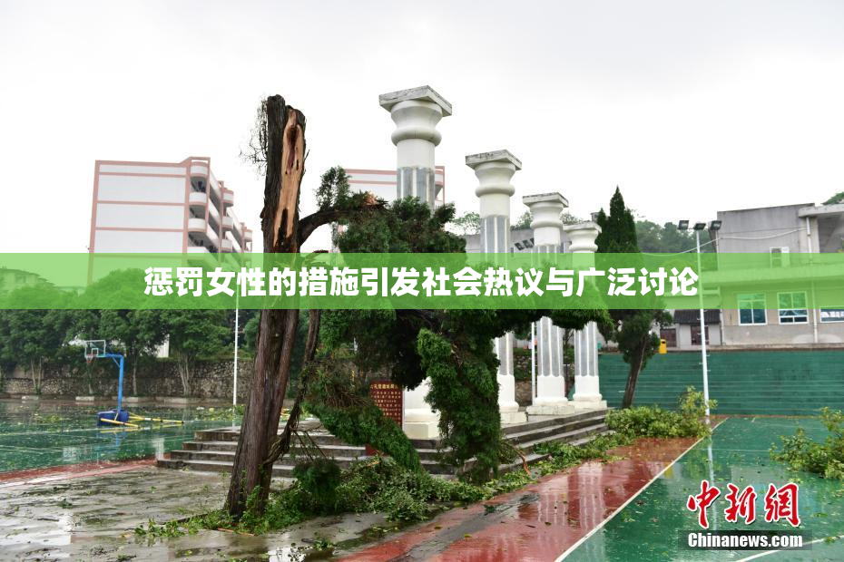 惩罚女性的措施引发社会热议与广泛讨论