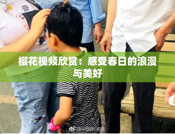 樱花视频欣赏：感受春日的浪漫与美好