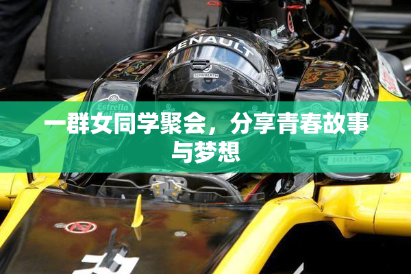 一群女同学聚会，分享青春故事与梦想