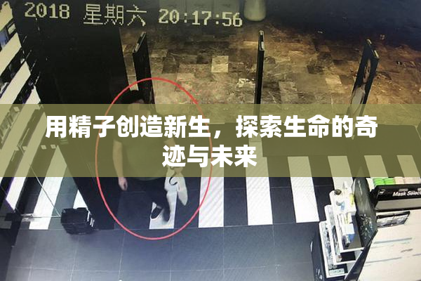 用精子创造新生，探索生命的奇迹与未来
