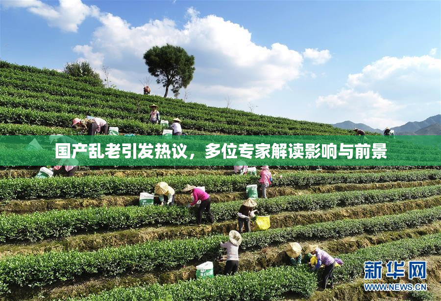 国产乱老引发热议，多位专家解读影响与前景