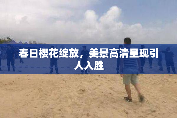 春日樱花绽放，美景高清呈现引人入胜