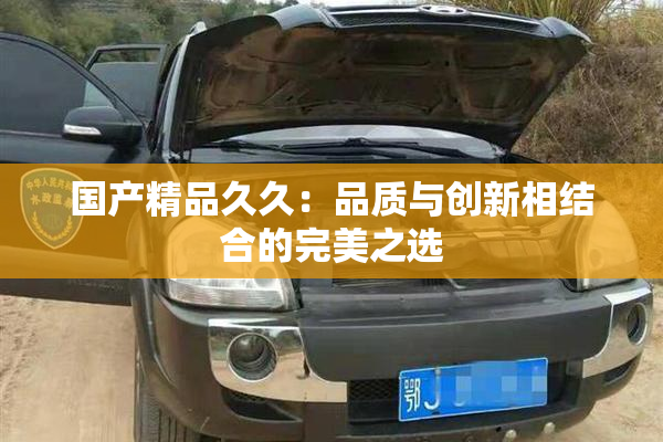 国产精品久久：品质与创新相结合的完美之选