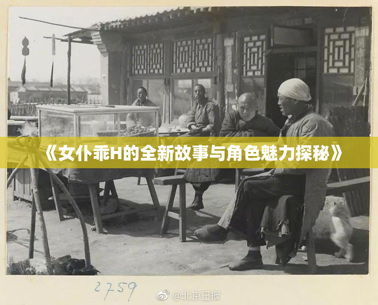 《女仆乖H的全新故事与角色魅力探秘》
