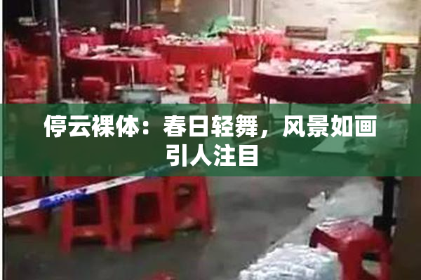 停云裸体：春日轻舞，风景如画引人注目