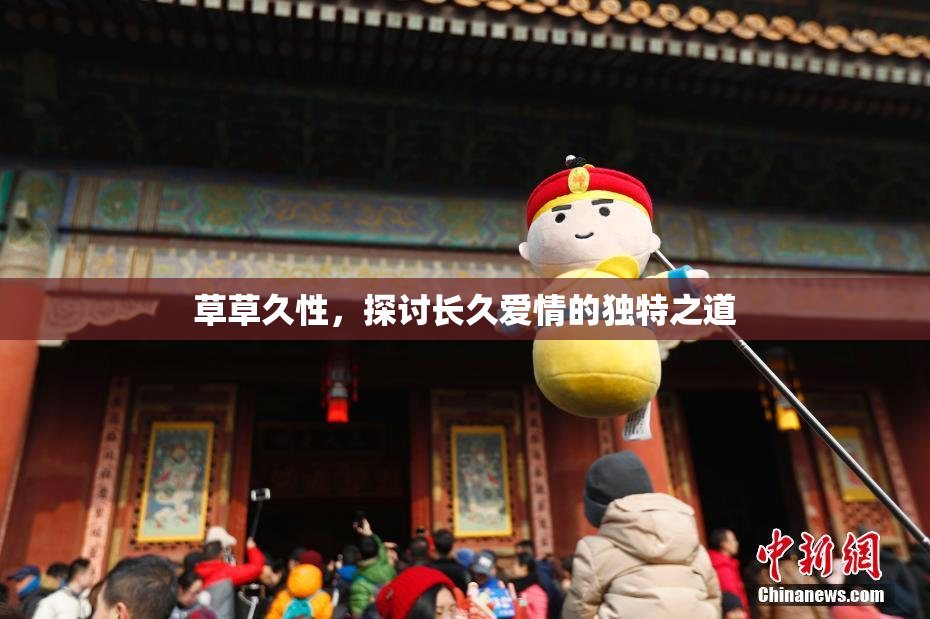 草草久性，探讨长久爱情的独特之道