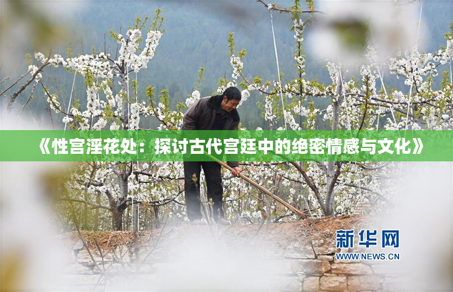 《性宫淫花处：探讨古代宫廷中的绝密情感与文化》