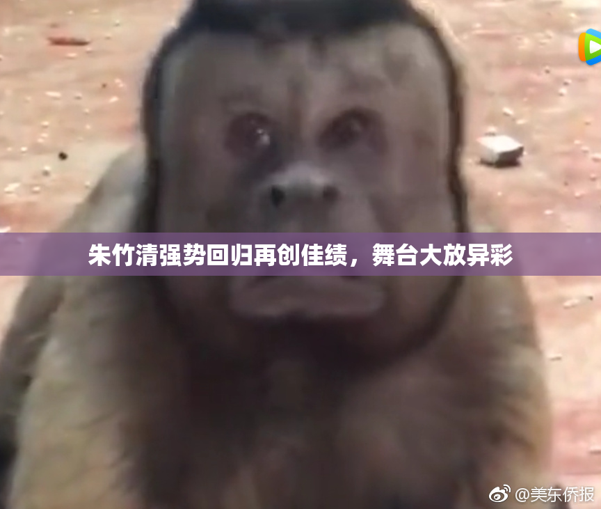 朱竹清强势回归再创佳绩，舞台大放异彩