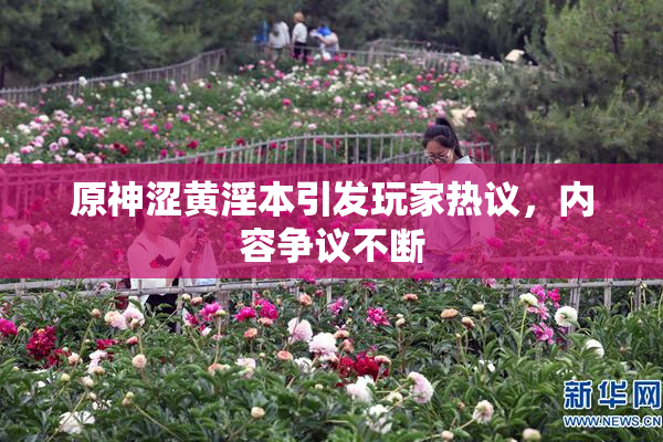 原神涩黄淫本引发玩家热议，内容争议不断