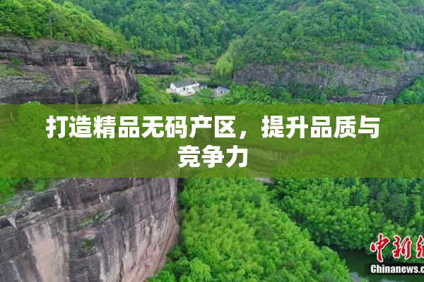 打造精品无码产区，提升品质与竞争力