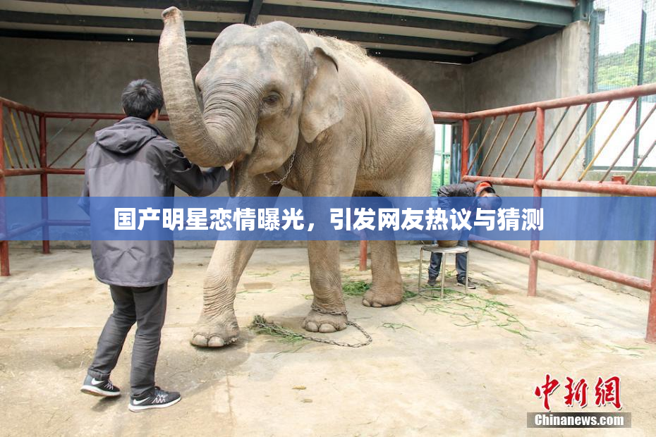 国产明星恋情曝光，引发网友热议与猜测
